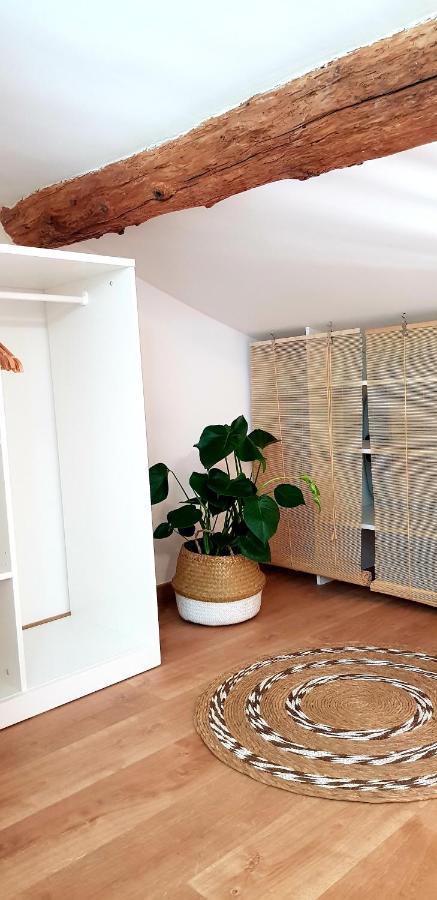 Studio Mediterraneenne 蒙彼利埃 外观 照片
